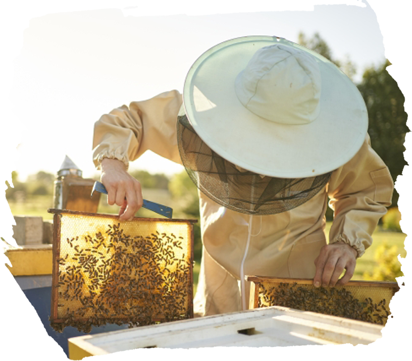 山田ハニーファーム